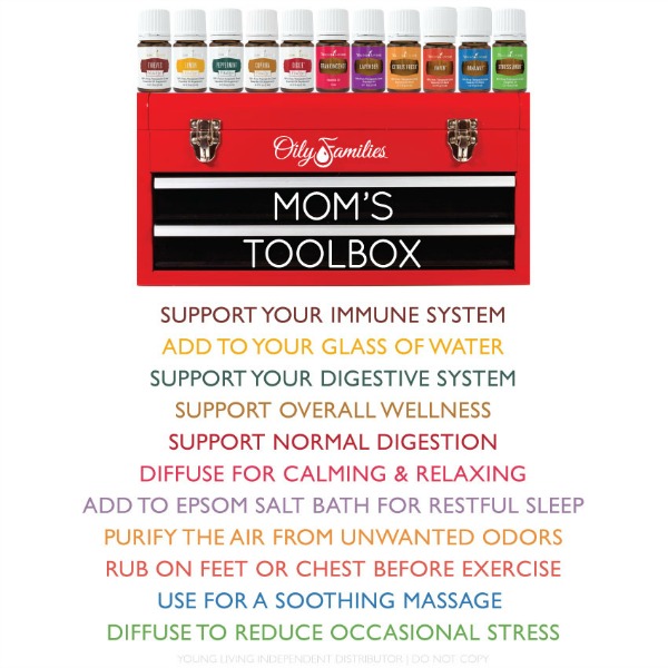 Moms toolbox of natural wellness tools on the natural living gift guide.