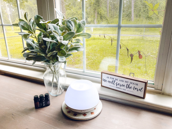 Benefits of Using a Diffuser in the Home