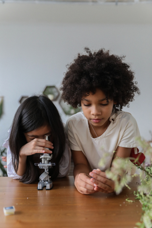 Wondering how to get kids into science? Try this list of great ideas.