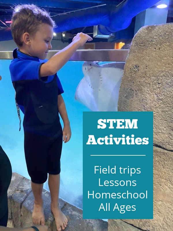 STEM activities for all ages.