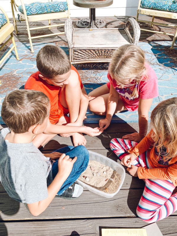 Hands-On Geology: Rock Identification Kit