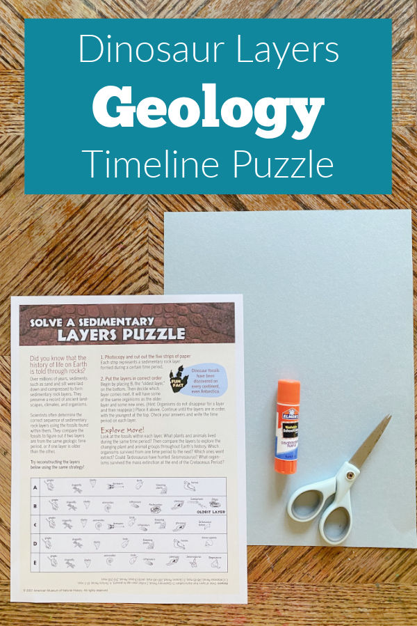 Picture shows supplies needed to complete the dinosaur layers geology timeline activity. Text reads Dinosaur Layers Geology Timeline Puzzle.