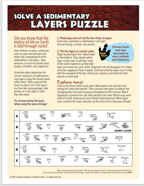 Geology layers timeline printable worksheet from the American Museum of Natural History.