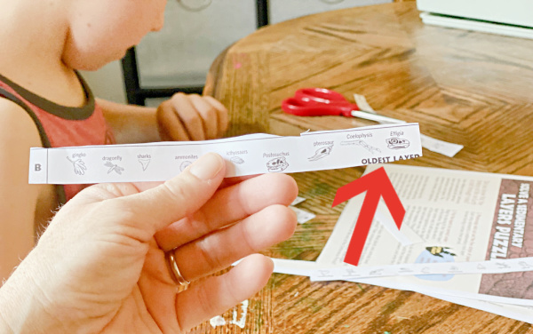 Start with the strip labeled oldest layer as the bottom of the puzzle.