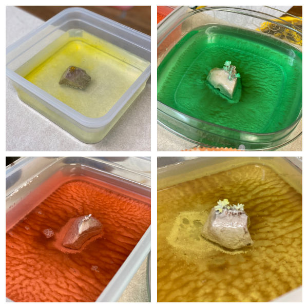 Exploring the Scientific Method with Children