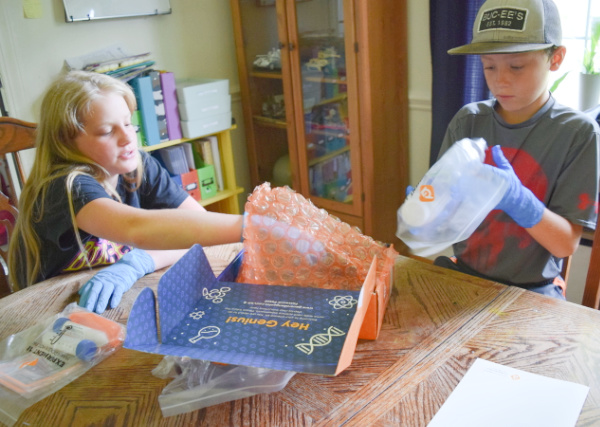 Kids can sort and organize the experiments in our science kit for kids from Generation Genius.