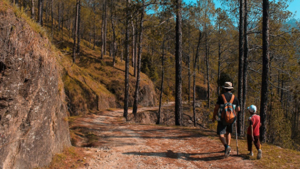 4 Family-Friendly Things to Do in Gatlinburg