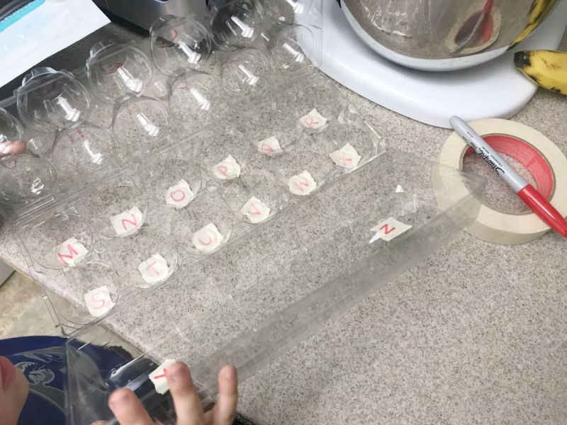 Letters written on masking tape and placed into the egg cups if an egg carton. One letter per cup.