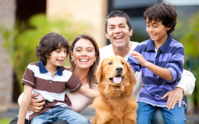 Best Pets to Have at Home
