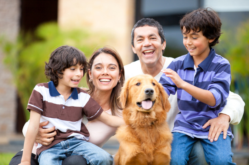 Best Pets to Have at Home