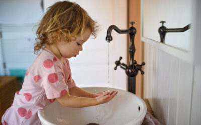 The All-In-One Potty Training Prize Chart System