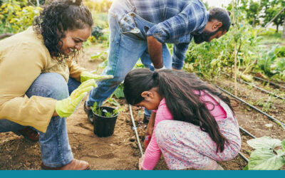 How to Give Your Vegetable Garden a New Lease on Life