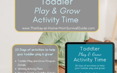 Toddler Play and Grow Activity Guide