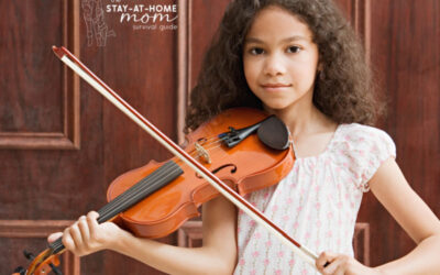 Mom’s Protective Partner: Navigating the BAM Violin Case Selection