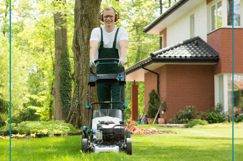 Six Tips for a Well-Maintained and Beautiful Lawn