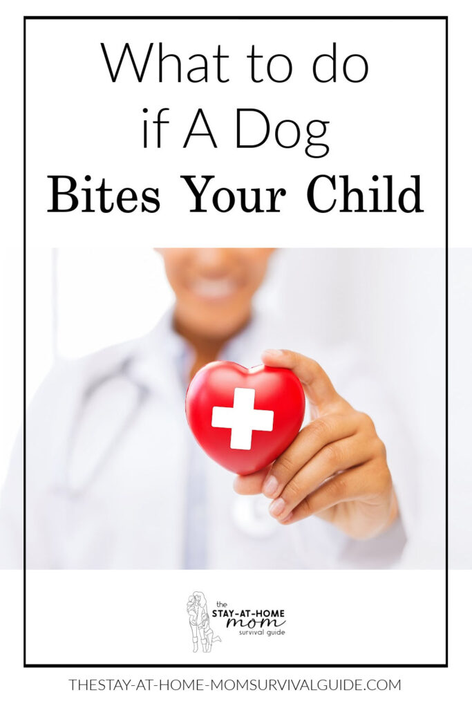 Doctor blurred in the background holding a red heart with a white cross on it in the foreground. Text reads what to do if a dog bites your child.