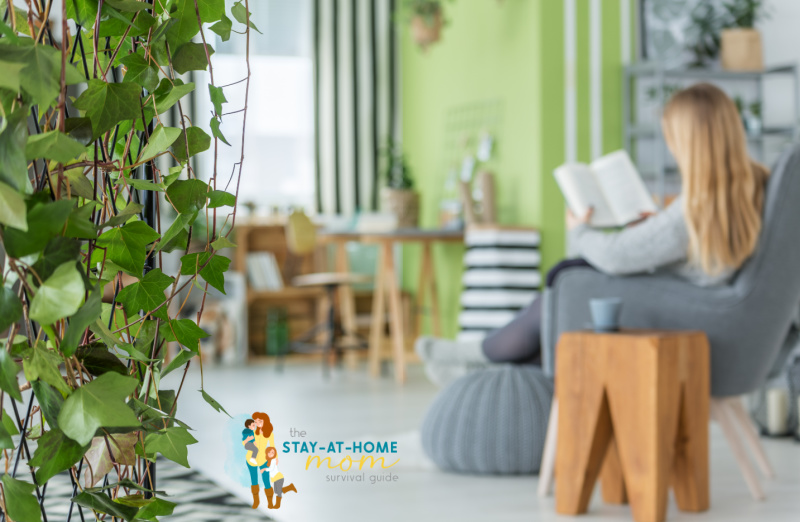 The Best Indoor Garden Kits for a Thriving Green Space at Home