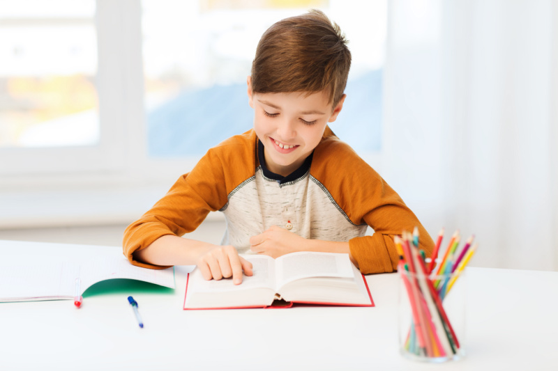 Middle Grade Fiction Books for Boys