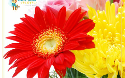 Simple Flower Arrangements That Brighten Up Any Space