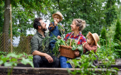 Learning to Enjoy Vegetables: Key Tips for a Healthier Diet