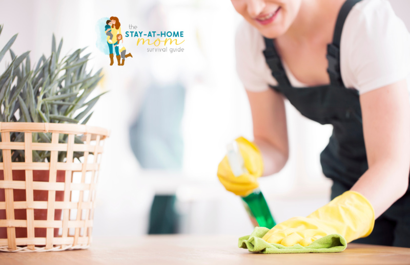 Ways to Keep Your Home Pest Free