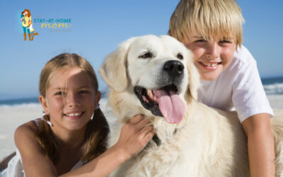 Dogs in the House: Pros, Cons and Everything Else to Consider