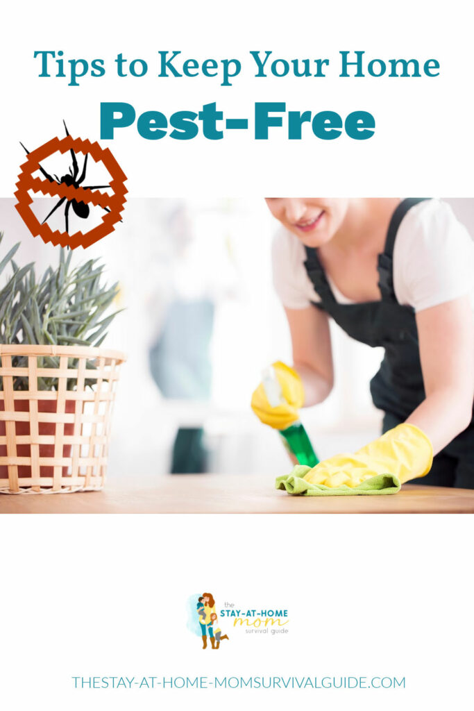 Woman scrubbing a countertop with rubber gloves on and a spray bottle in her other hand. Text reads tips to keep your home pest free.