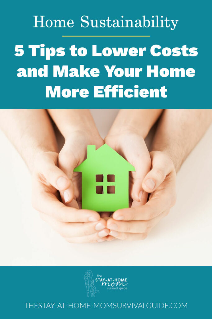 Two sets of hands holding a green 2-d home cut out. text reads home sustainability: 5 tips to lower costs and make your home more efficient