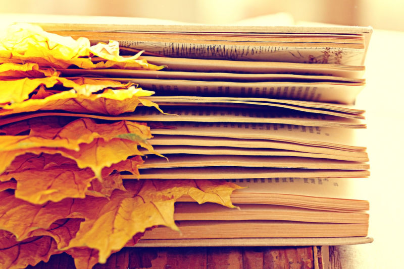 Leaves in between book pages