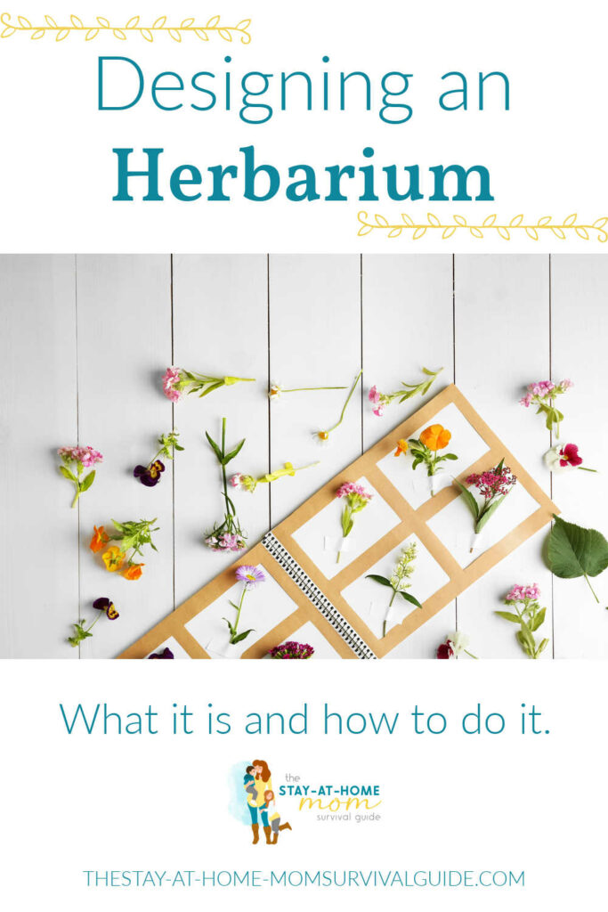 Herbarium collection. Text reads designing an herbarium what it is and how to do it.