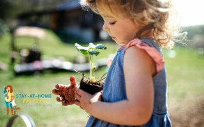 Educational Outdoor Activities Utilizing Your Patio Space