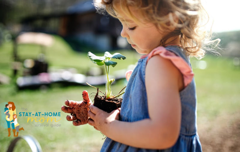 Educational Outdoor Activities Utilizing Your Patio Space