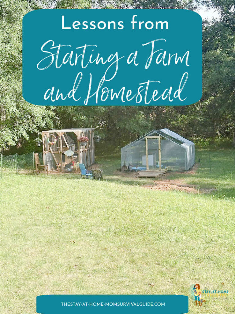 A chicken coop and run and a duck pen shown in the distance. Text reads lessons from starting a farm and homestead.
