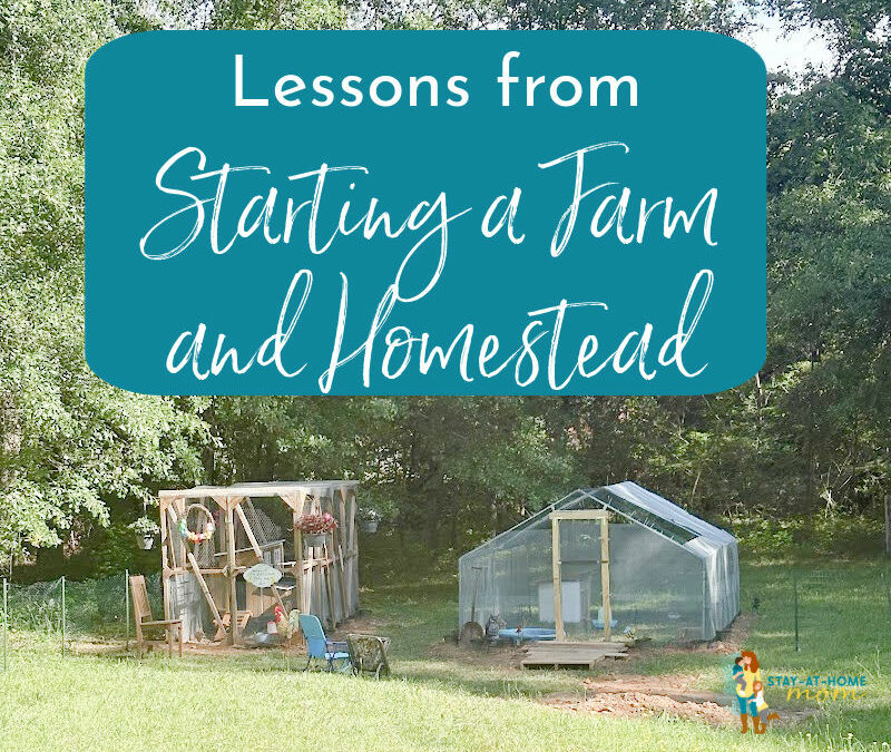 Starting a Family Farm and Homestead