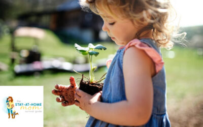 5 Ways Gardening Teaches Kids Patience, Responsibility, and Real-Life Skills
