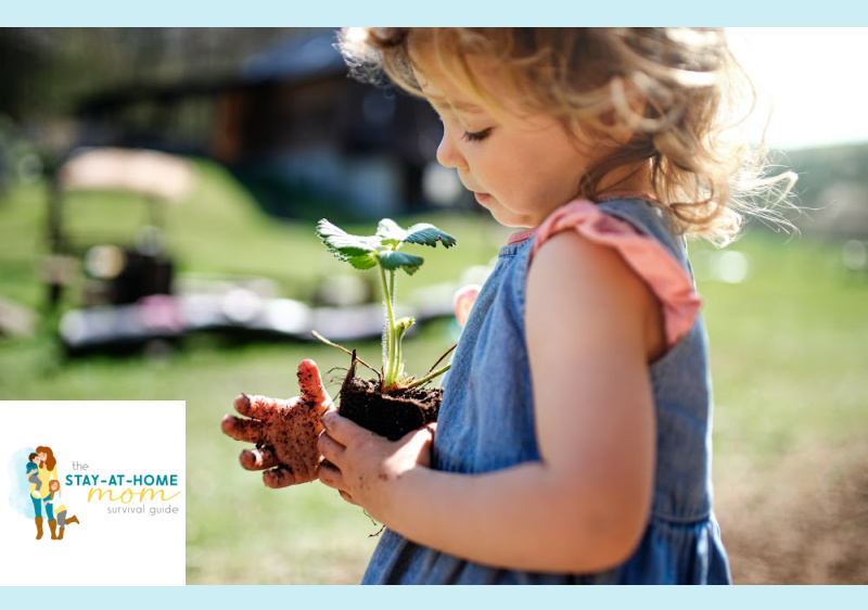 5 Ways Gardening Teaches Kids Patience, Responsibility, and Real-Life Skills
