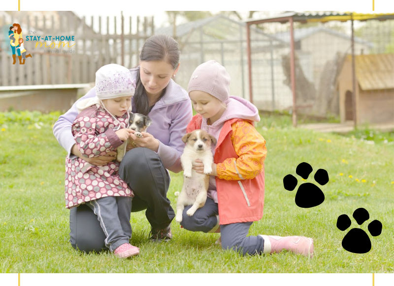 The Key Benefits of GPS‑Enabled Dog Containment Systems