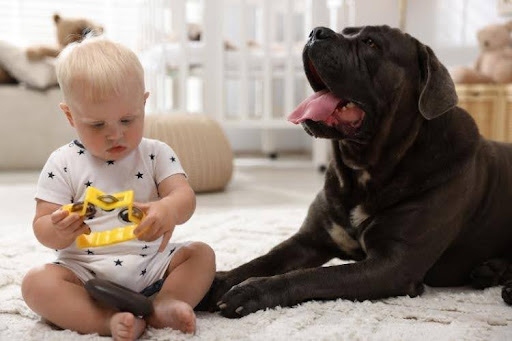 The Busy Mom’s Guide to Keeping a Healthy Home for Kids and Pets
