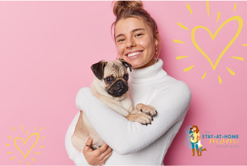 How To Keep Your Dog Healthy, Active, And Happy Every Day
