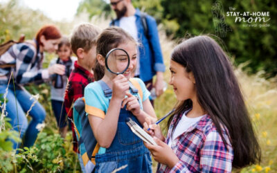 Are STEM Summer Camps Worth It? A Practical Guide For Parents