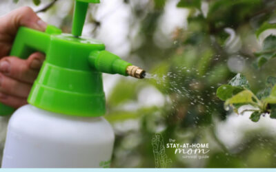 Simple Ways to Keep Your Home Ant-Free With Kids Around