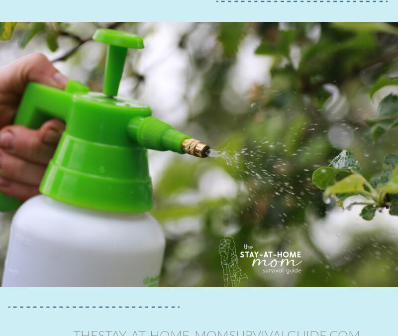 Simple Ways to Keep Your Home Ant-Free With Kids Around